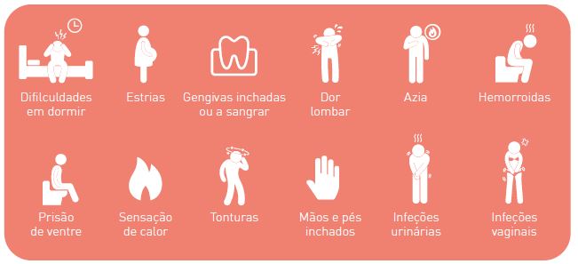 Terceiro trimestre (semanas 28 a 40)