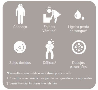 Primeiro trimestre (semanas 0 a 12)