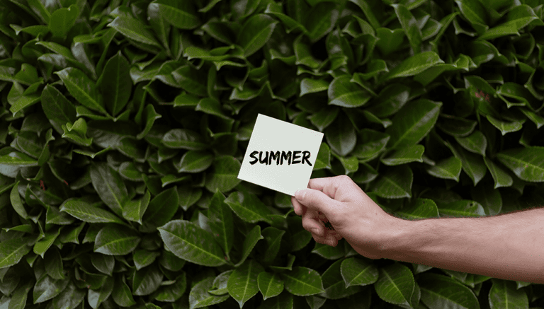 6 dicas para um verão mais confortável